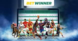 The Ultimate Guide to Betwinner Bets 13